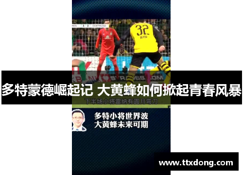 多特蒙德崛起记 大黄蜂如何掀起青春风暴