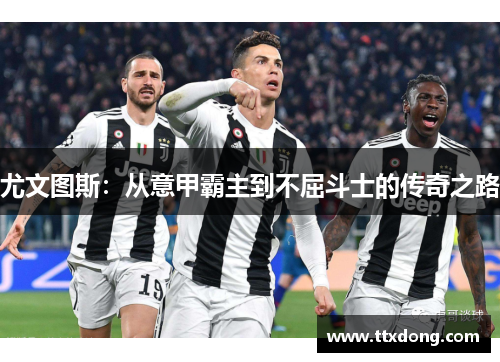 尤文图斯：从意甲霸主到不屈斗士的传奇之路