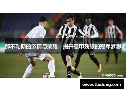 那不勒斯的激情与荣耀：揭开意甲劲旅的冠军梦想